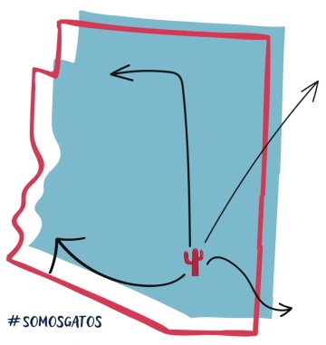 Image of the state of Arizona with Tucson highlighted.